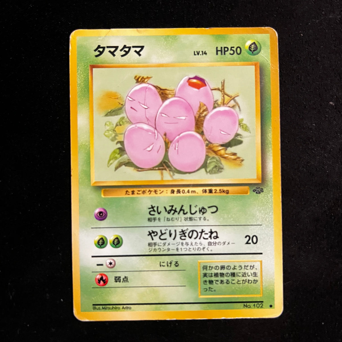 Exeggcute Jungle — Jungle, Japanese Pokémon card in Heavily Played condition