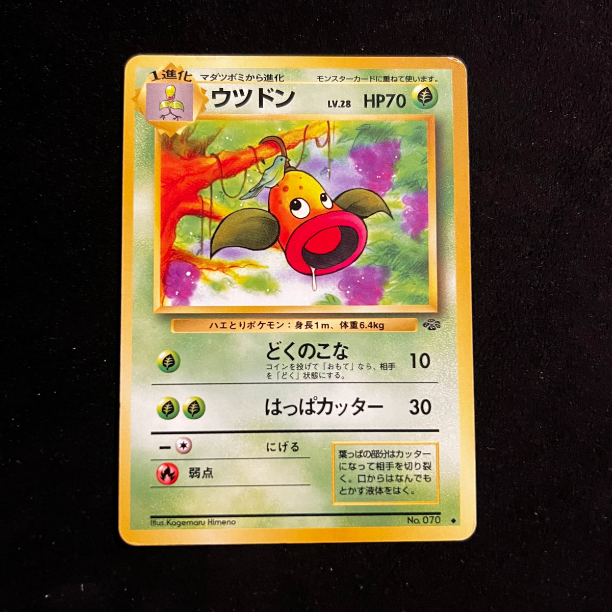 Weepinbell Jungle — Jungle, Japanese Pokémon card in Lightly Played condition