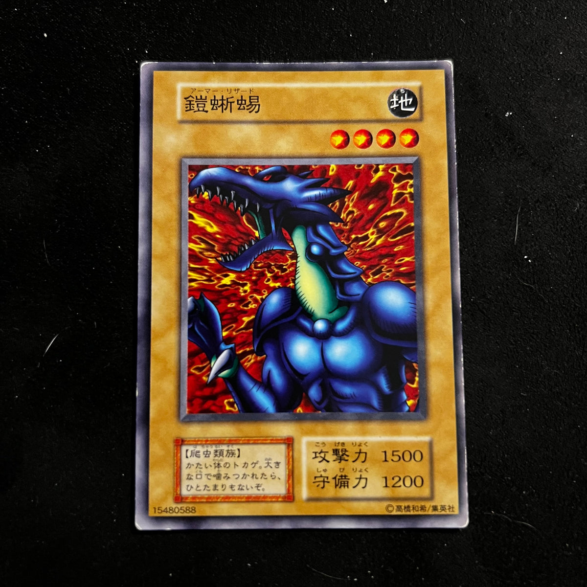 Armored Lizard, Common
