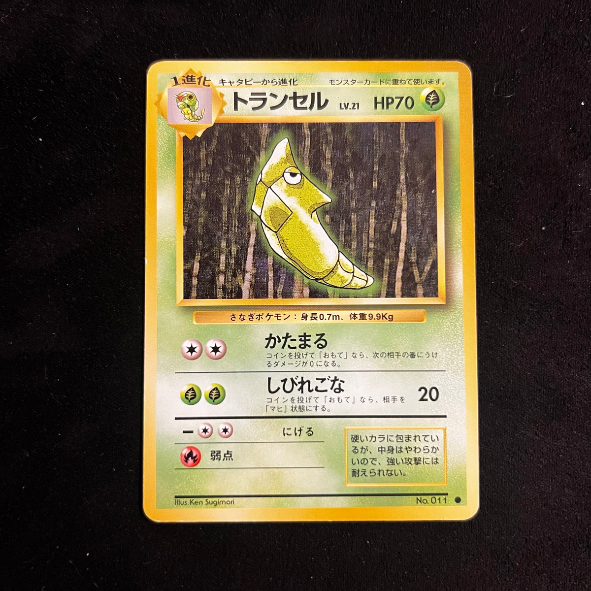 Metapod Base Set — Base Set, Japanese Pokémon card in Lightly Played condition