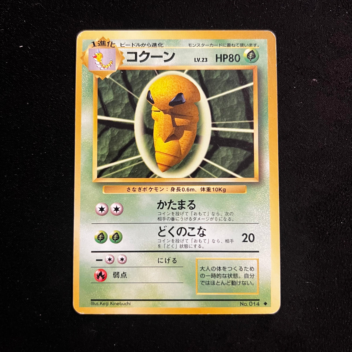 Kakuna Base Set — Base Set, Japanese Pokémon card in Excellent condition