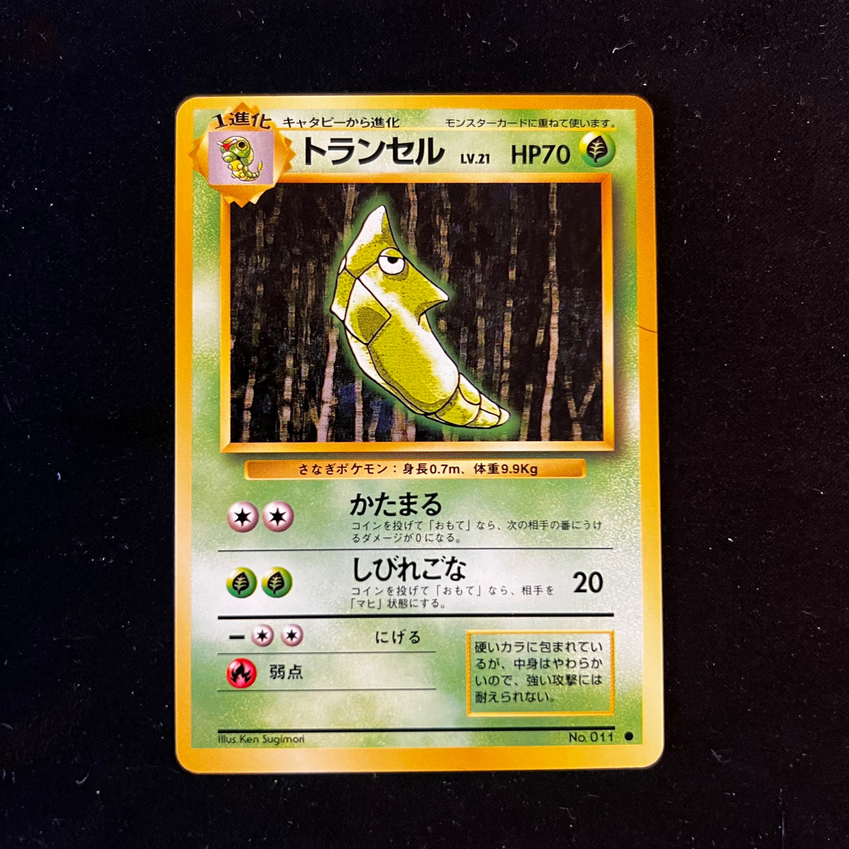 Metapod Base Set — Base Set, Japanese Pokémon card in Near Mint condition