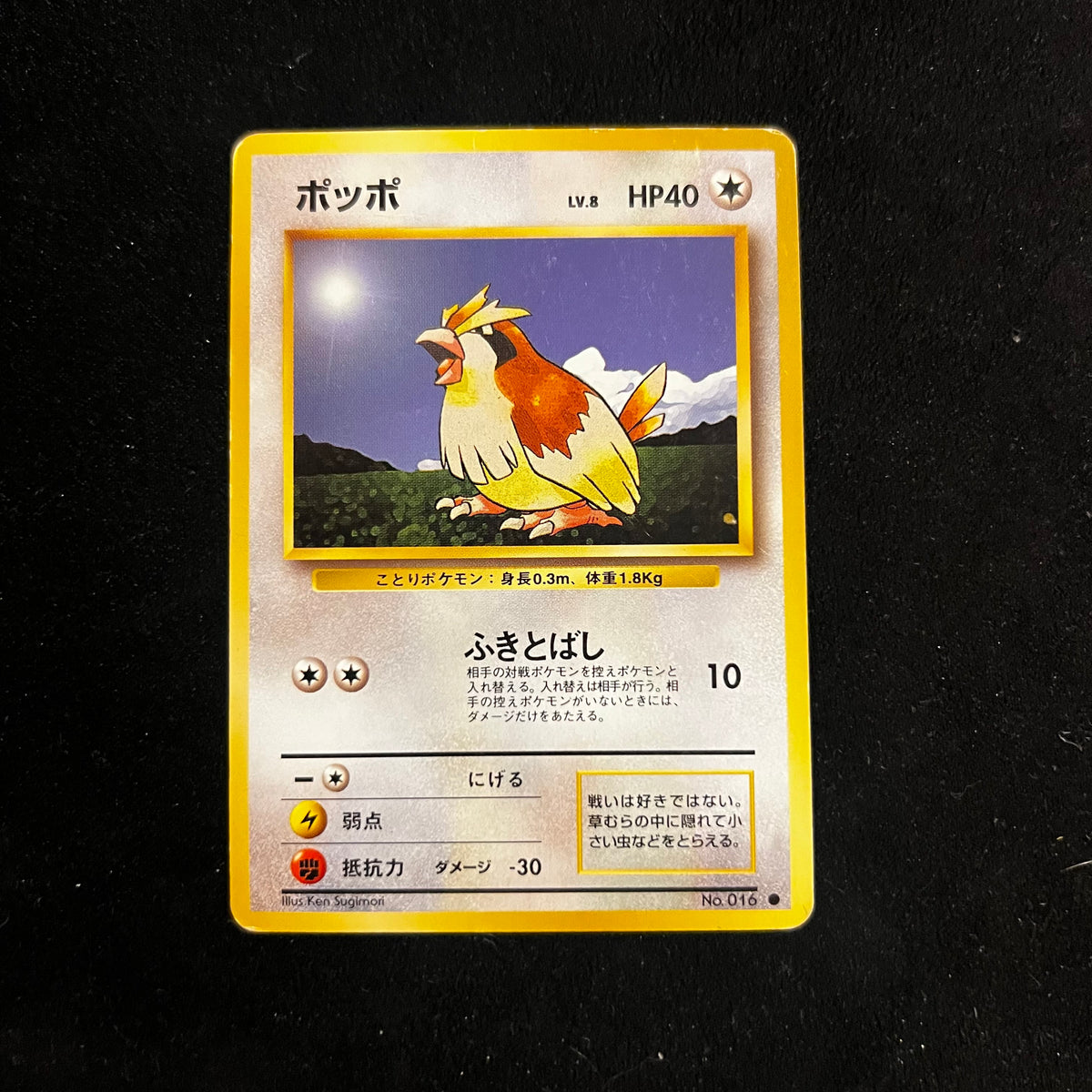 Pidgey, Base Set — Base Set, Japanese Pokémon card in Heavily Played condition