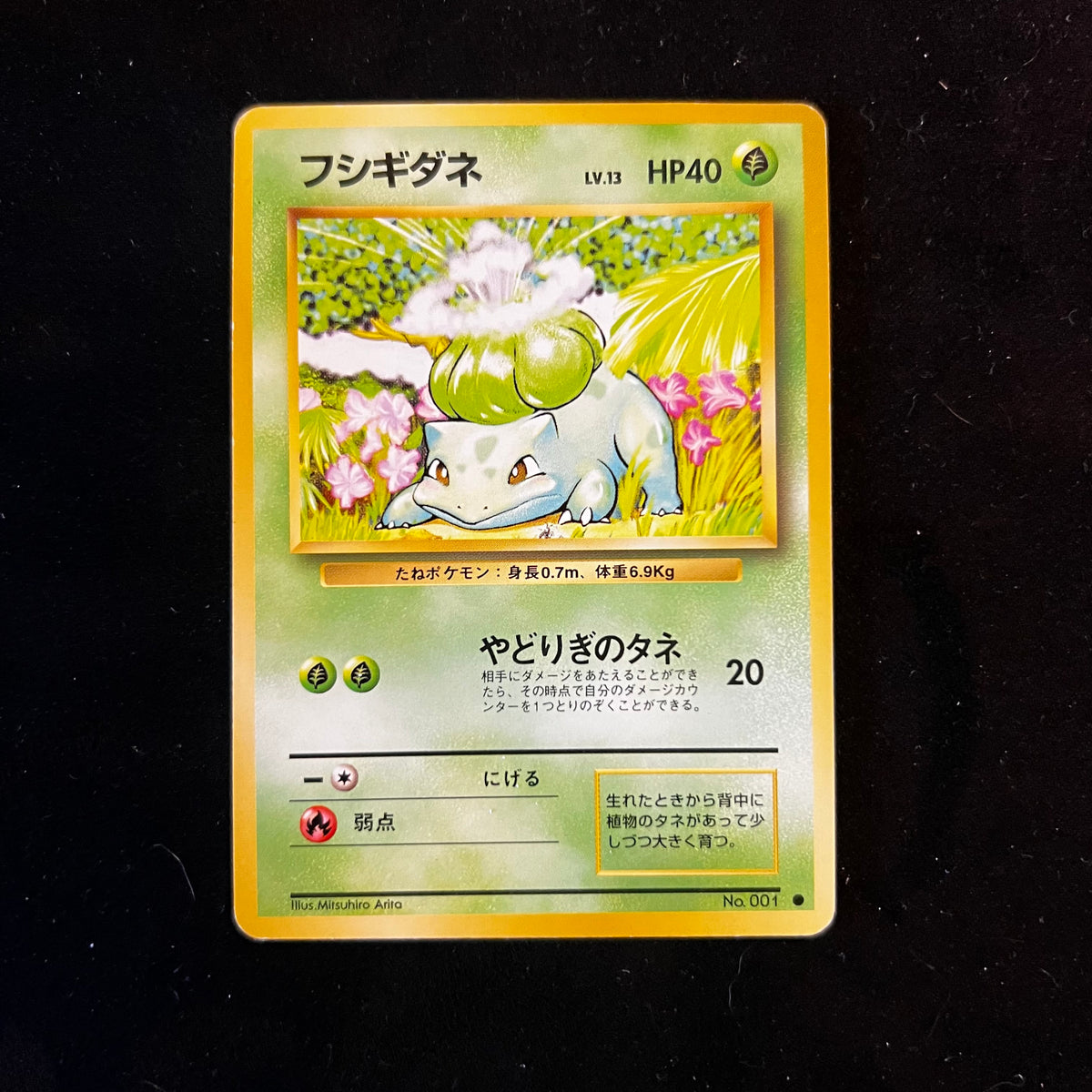 Bulbasaur Base Set — Base Set, Japanese Pokémon card in Moderately Played condition