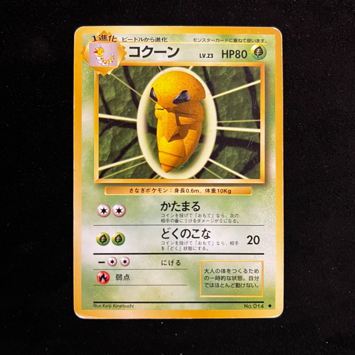 Kakuna Base Set — Base Set, Japanese Pokémon card in Lightly Played condition