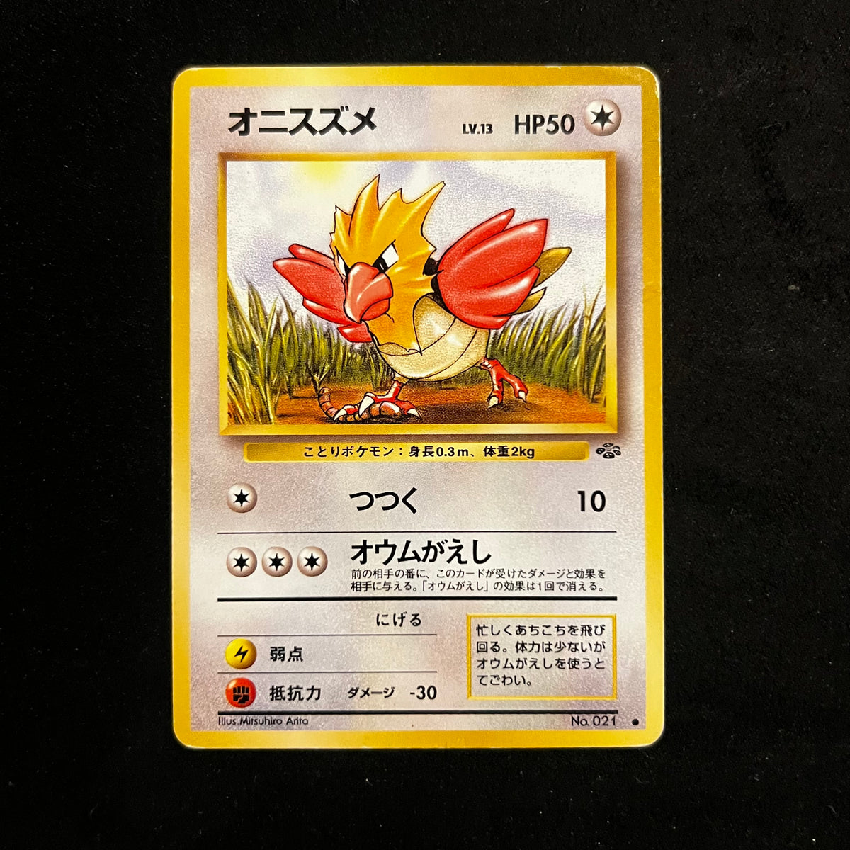 Spearow Jungle — Jungle, Japanese Pokémon card in Moderately Played condition