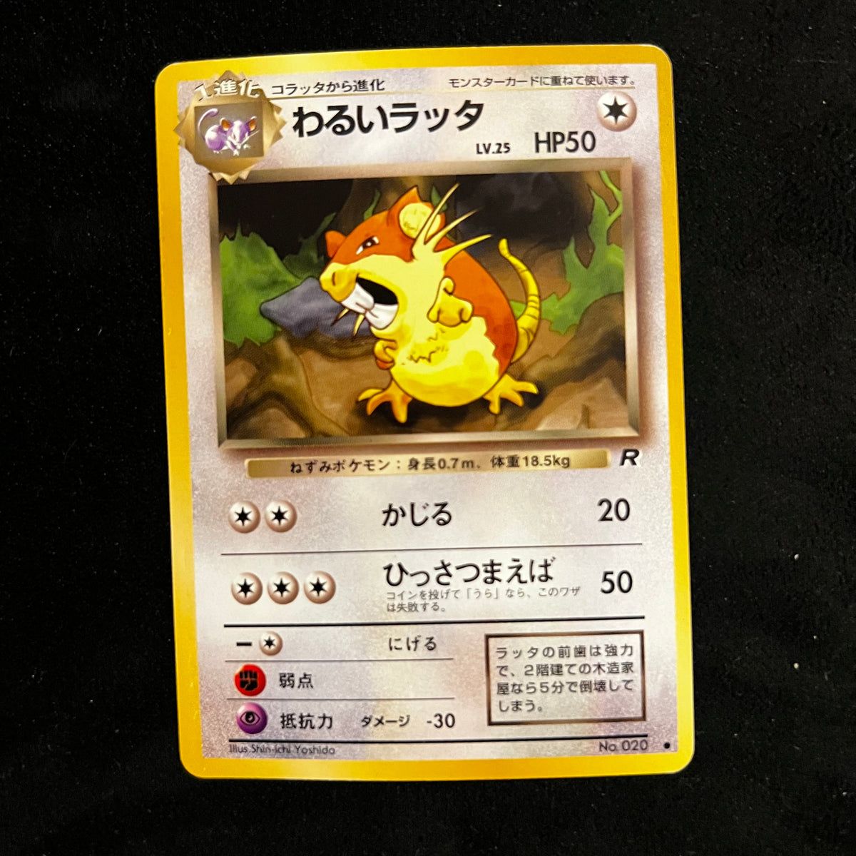 Dark Raticate Team Rocket — Team Rocket, Japanese Pokémon card in Near Mint/Excellent condition