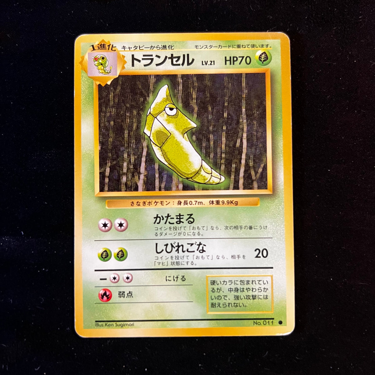 Metapod Base Set — Base Set, Japanese Pokémon card in Lightly Played/Moderately Played condition