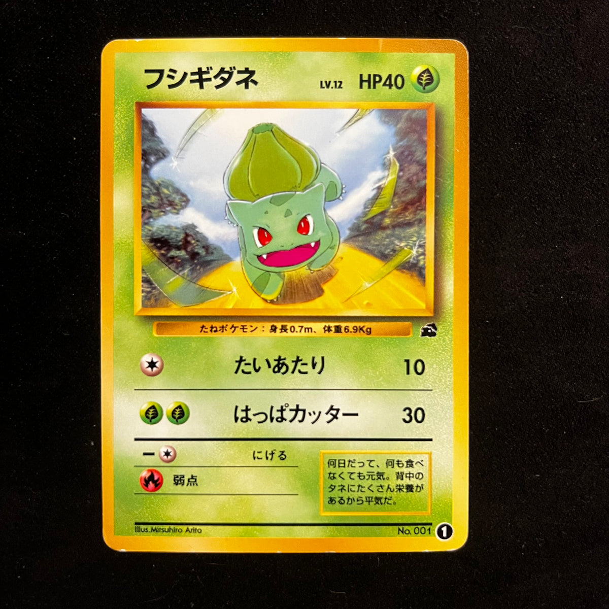 Bulbasaur VHS Intro Pack — Other Promos, Japanese Pokémon card in Lightly Played condition
