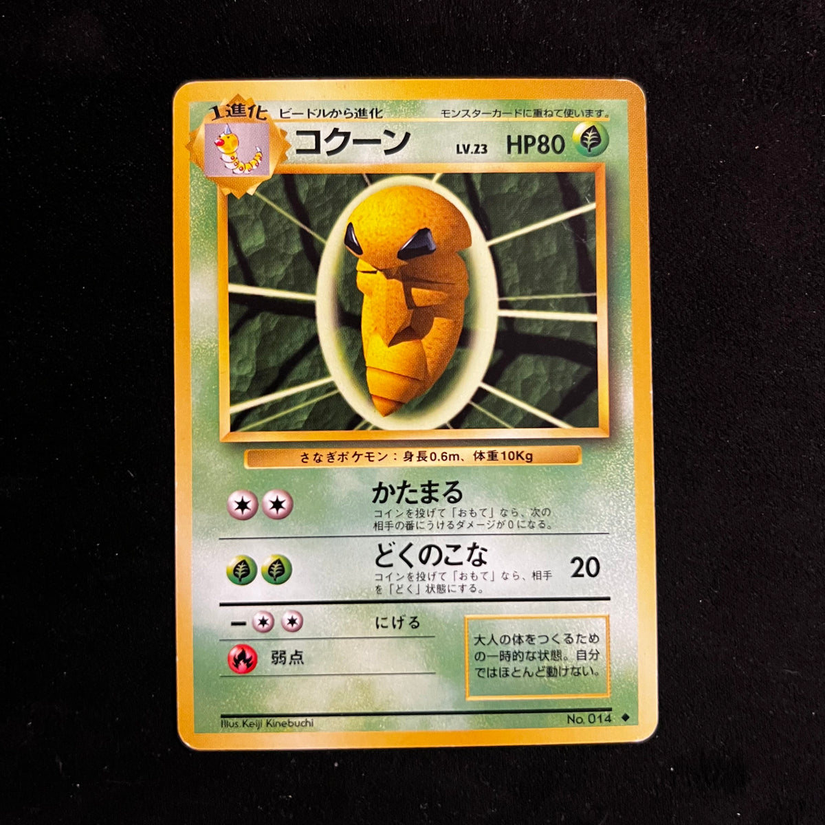 Kakuna Base Set — Base Set, Japanese Pokémon card in Near Mint/Excellent condition