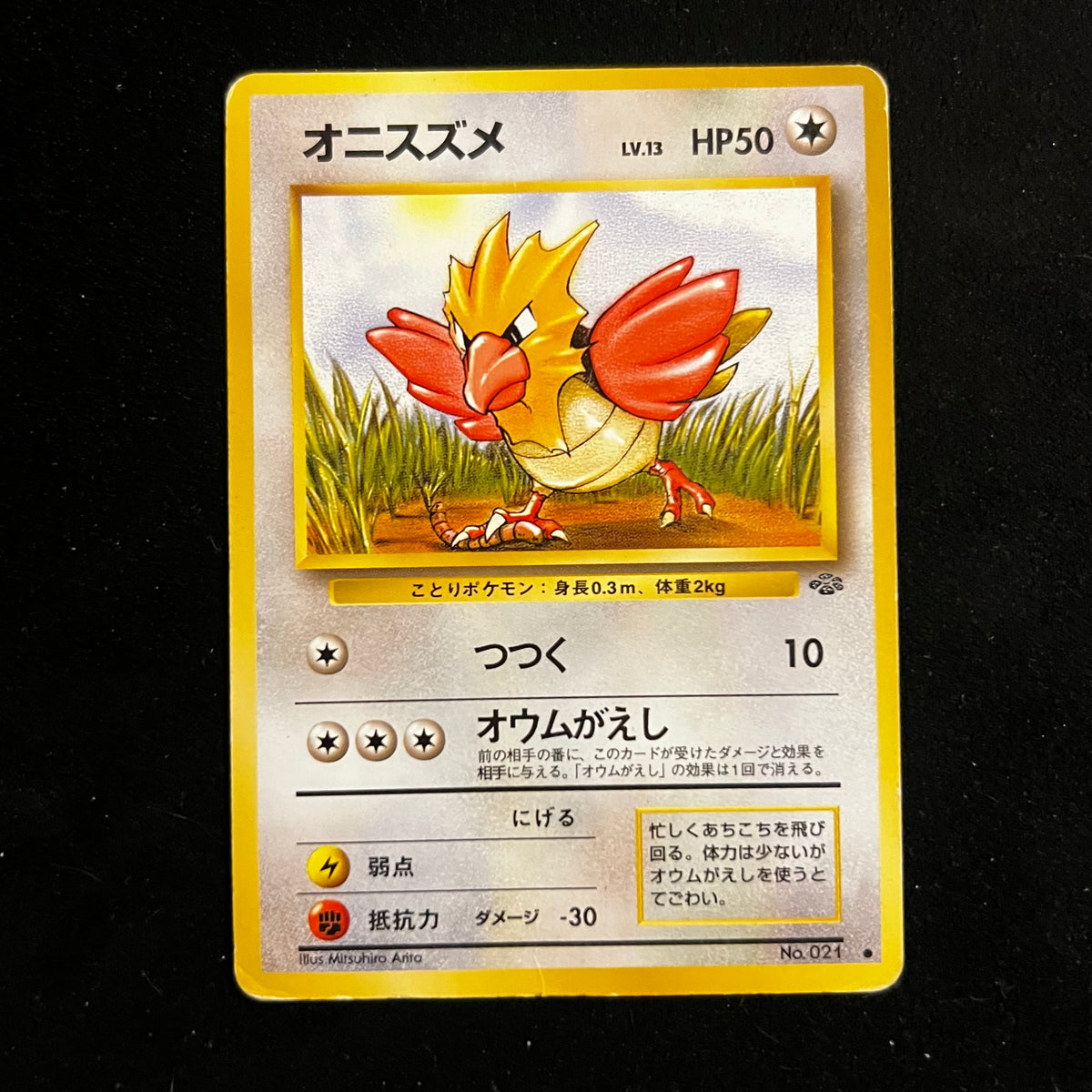 Spearow Jungle — Jungle, Japanese Pokémon card in Moderately Played condition