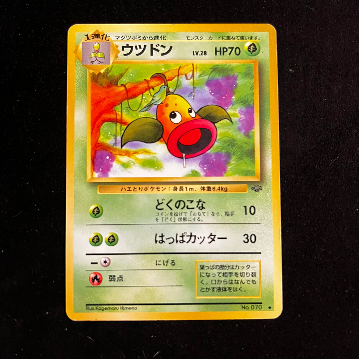 Weepinbell Jungle — Jungle, Japanese Pokémon card in Lightly Played condition