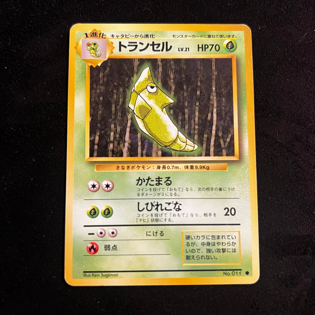 Metapod Base Set — Base Set, Japanese Pokémon card in Lightly Played condition