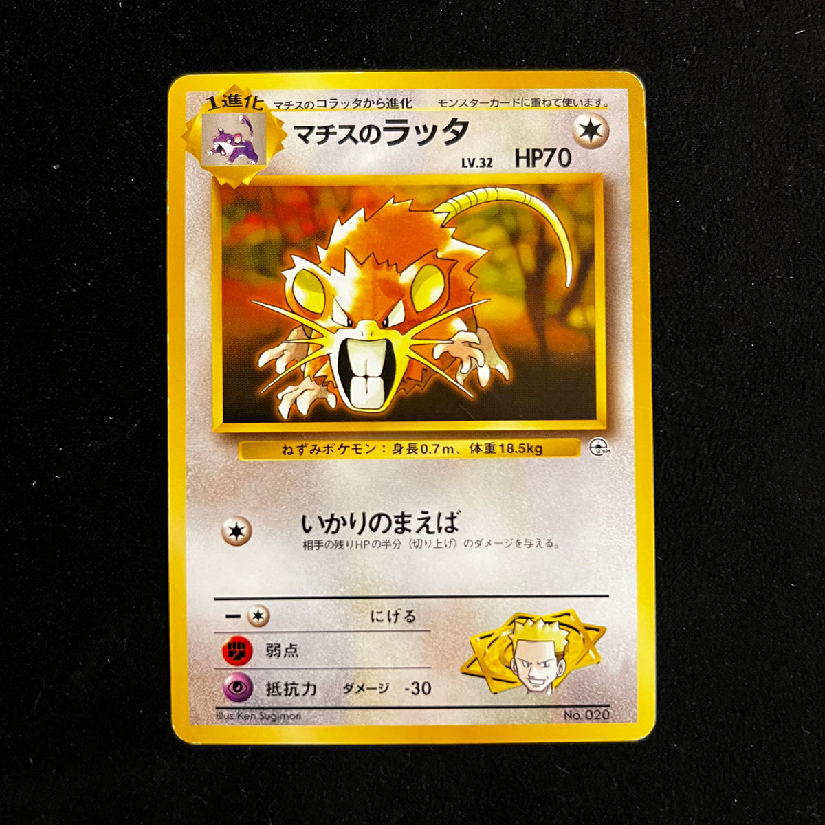 Lt. Surge's Raticate Gym — Gym Heroes, Japanese Pokémon card in Lightly Played condition