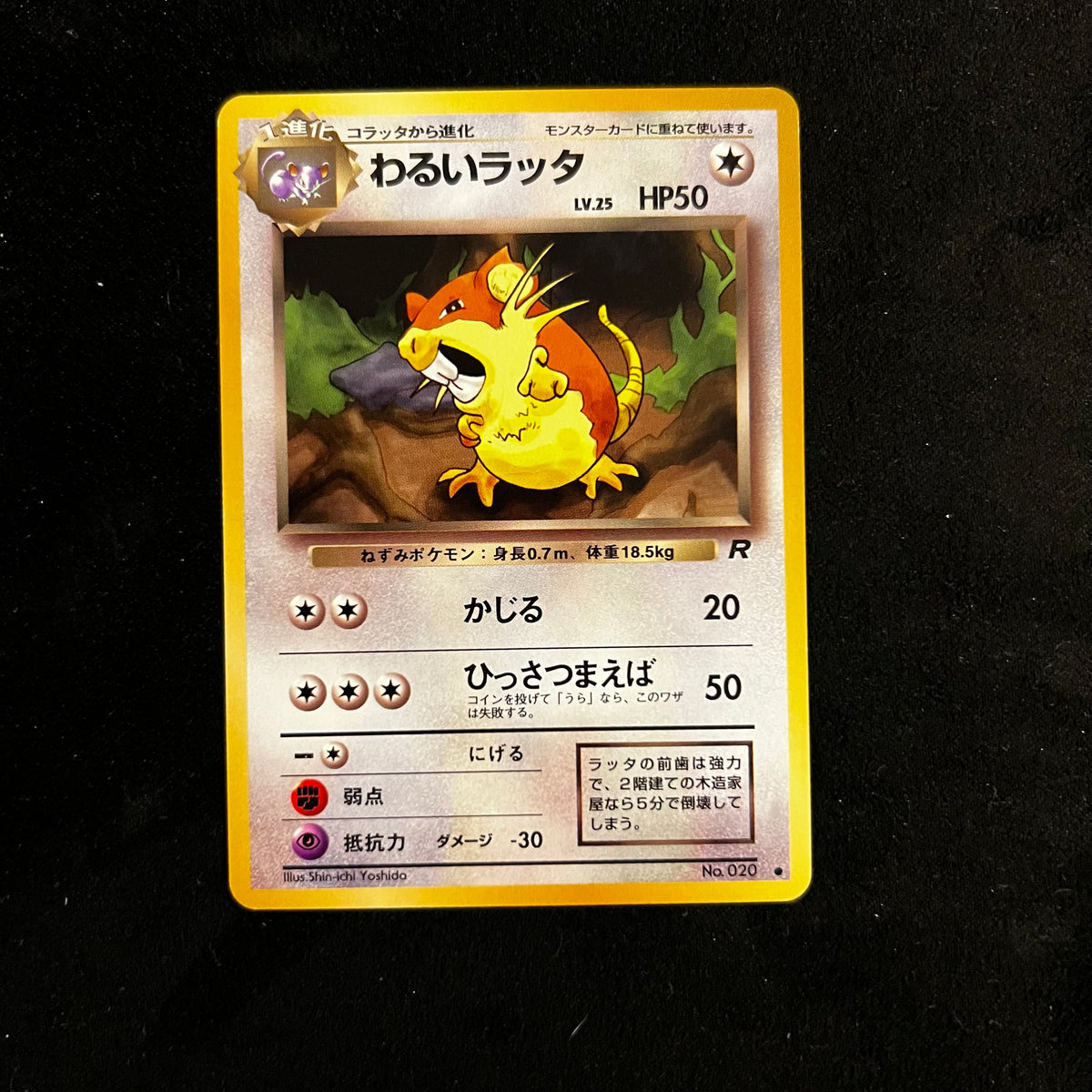 Dark Raticate Team Rocket — Team Rocket, Japanese Pokémon card in Near Mint condition