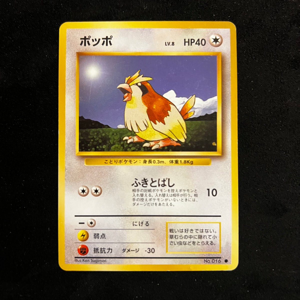 Pidgey Base Set — Base Set, Japanese Pokémon card in Lightly Played condition