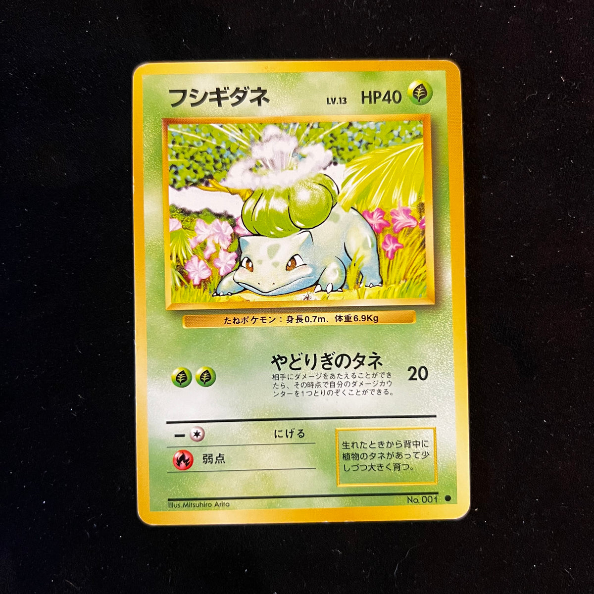 Bulbasaur Base Set — Base Set, Japanese Pokémon card in Lightly Played condition