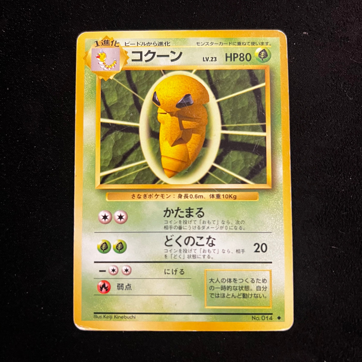 Kakuna Base Set — Base Set, Japanese Pokémon card in Lightly Played condition