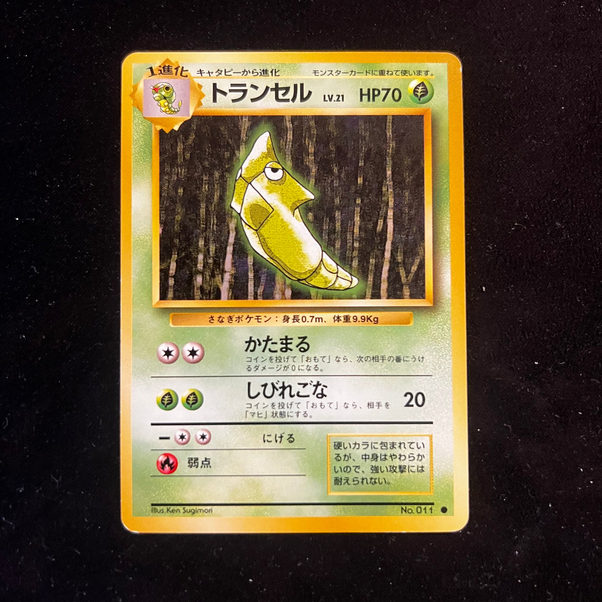 Metapod, Base Set — Base Set, Japanese Pokémon card in Excellent condition