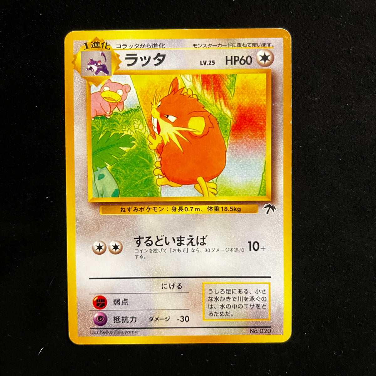 Raticate Southern Islands — Southern Islands, Japanese Pokémon card in Excellent/Lightly Played condition
