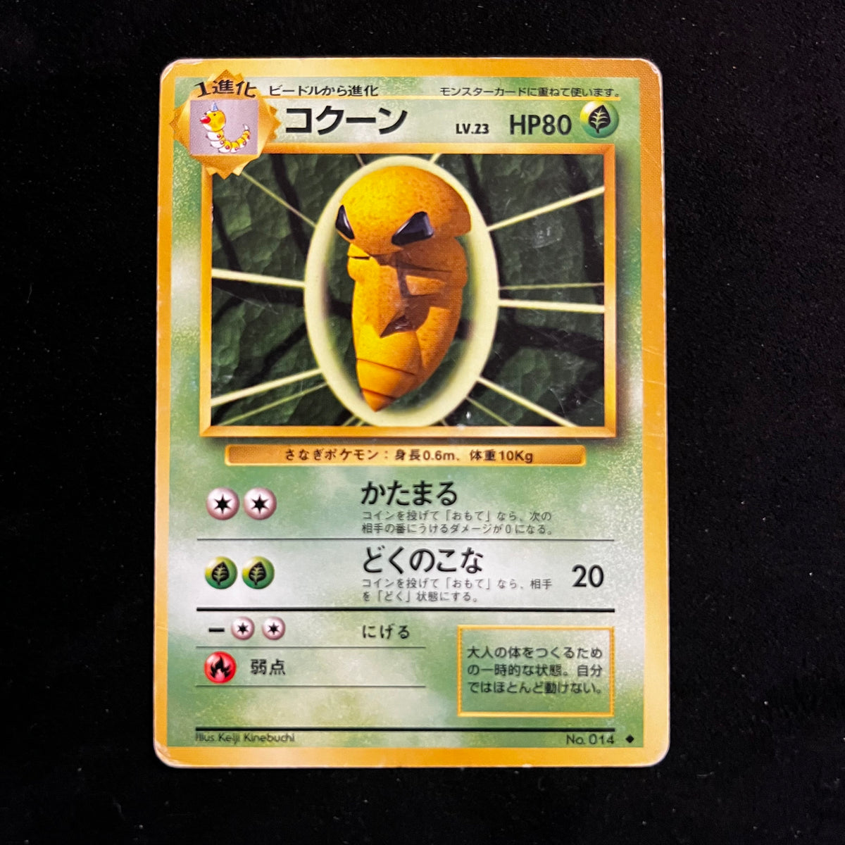 Kakuna Base Set — Base Set, Japanese Pokémon card in Lightly Played/Moderately Played condition