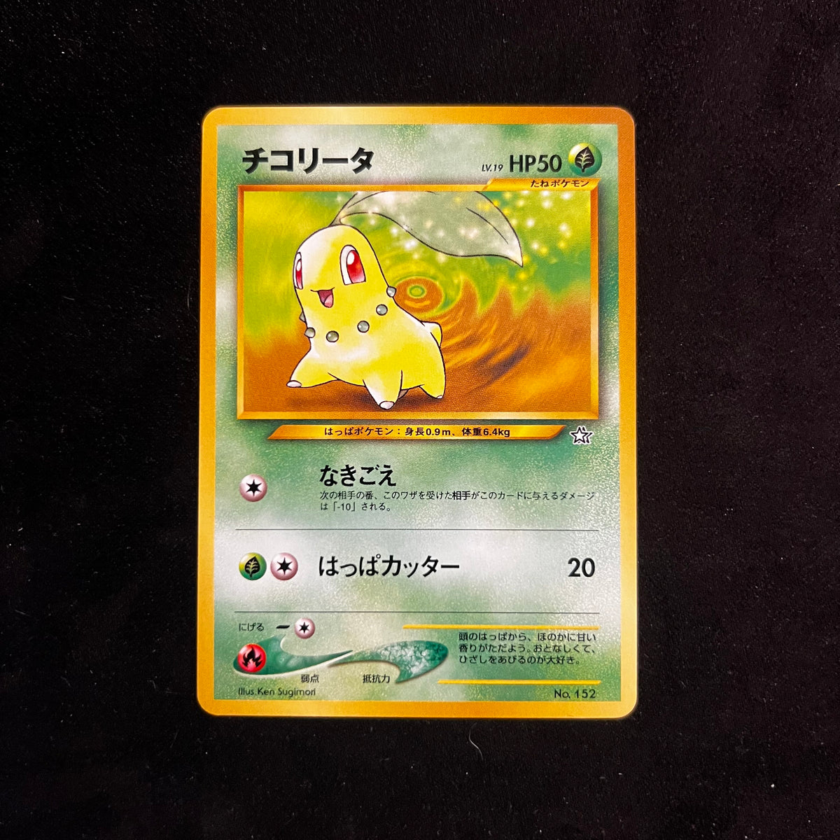 Chikorita, Neo Premium File 1 Promo — Other Promos, Japanese Pokémon card in Near Mint condition