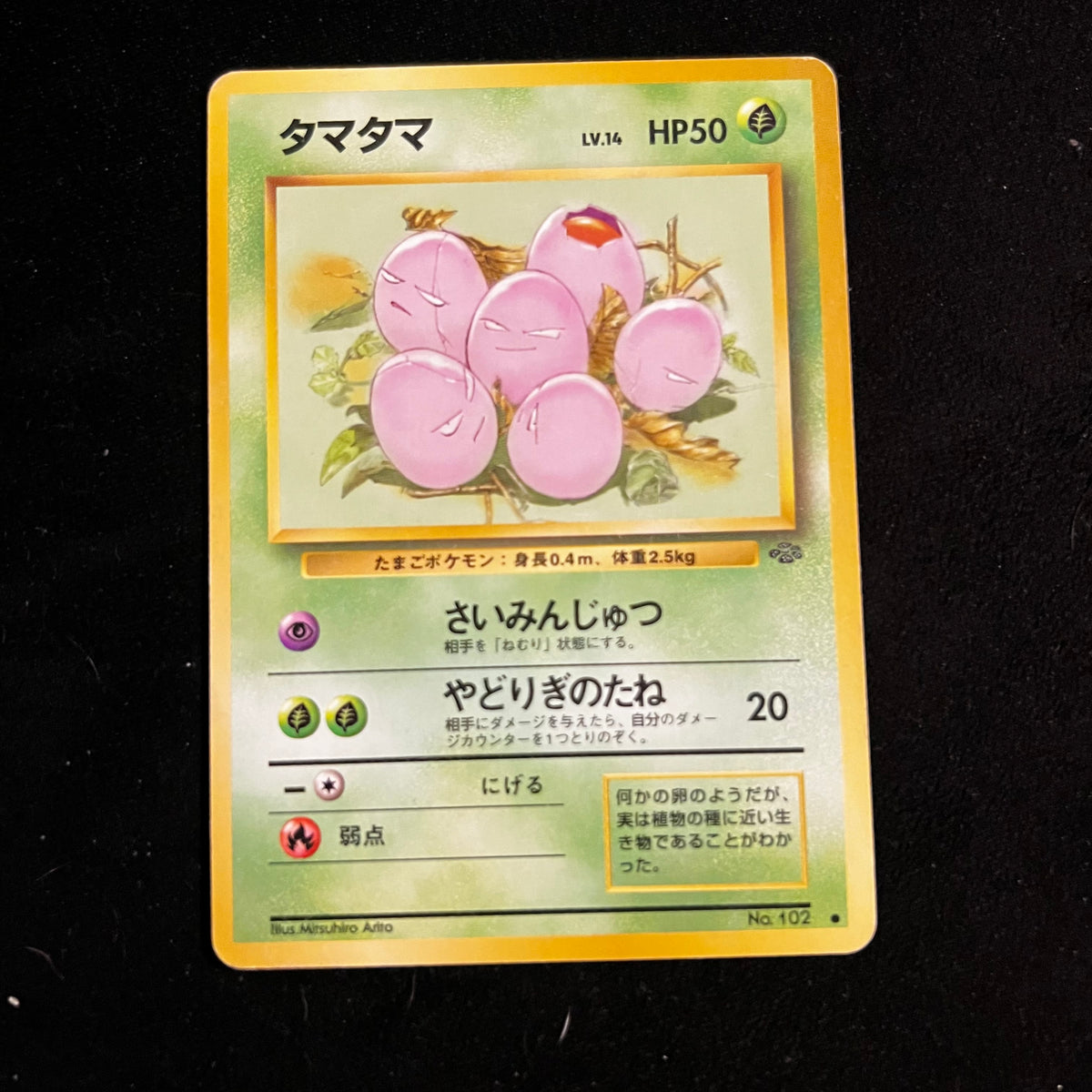 Exeggcute Jungle — Jungle, Japanese Pokémon card in Lightly Played condition