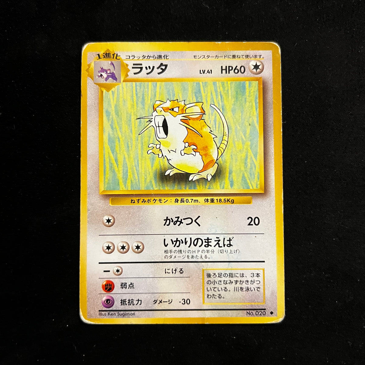 Raticate Base Set — Base Set, Japanese Pokémon card in Moderately Played condition